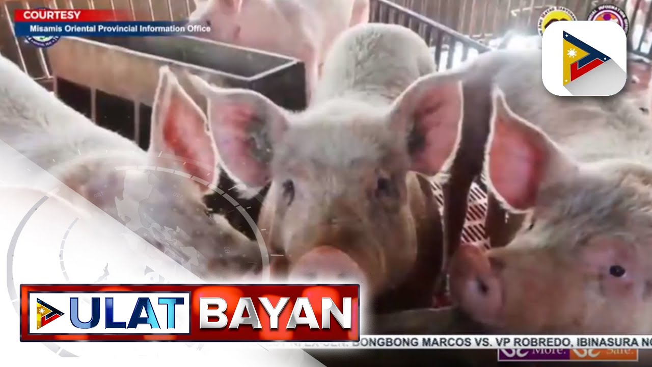 Cagayan De Oro at Misamis Oriental, apektado na rin ng ASF