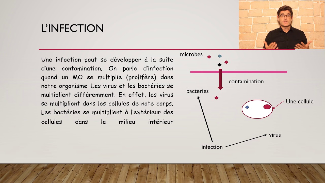 bilan, l'organisme en contact avec d'autres micro organismes