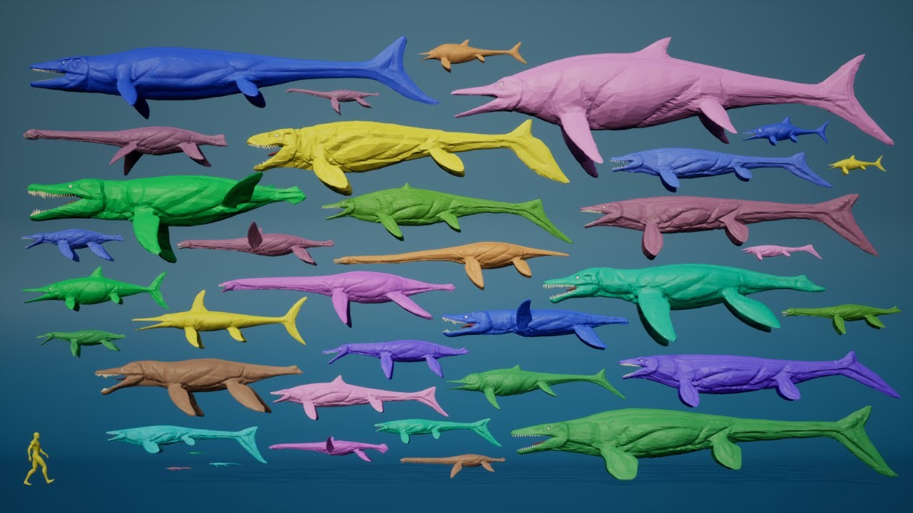 Ancient Marine Reptiles | 3D Size Comparison