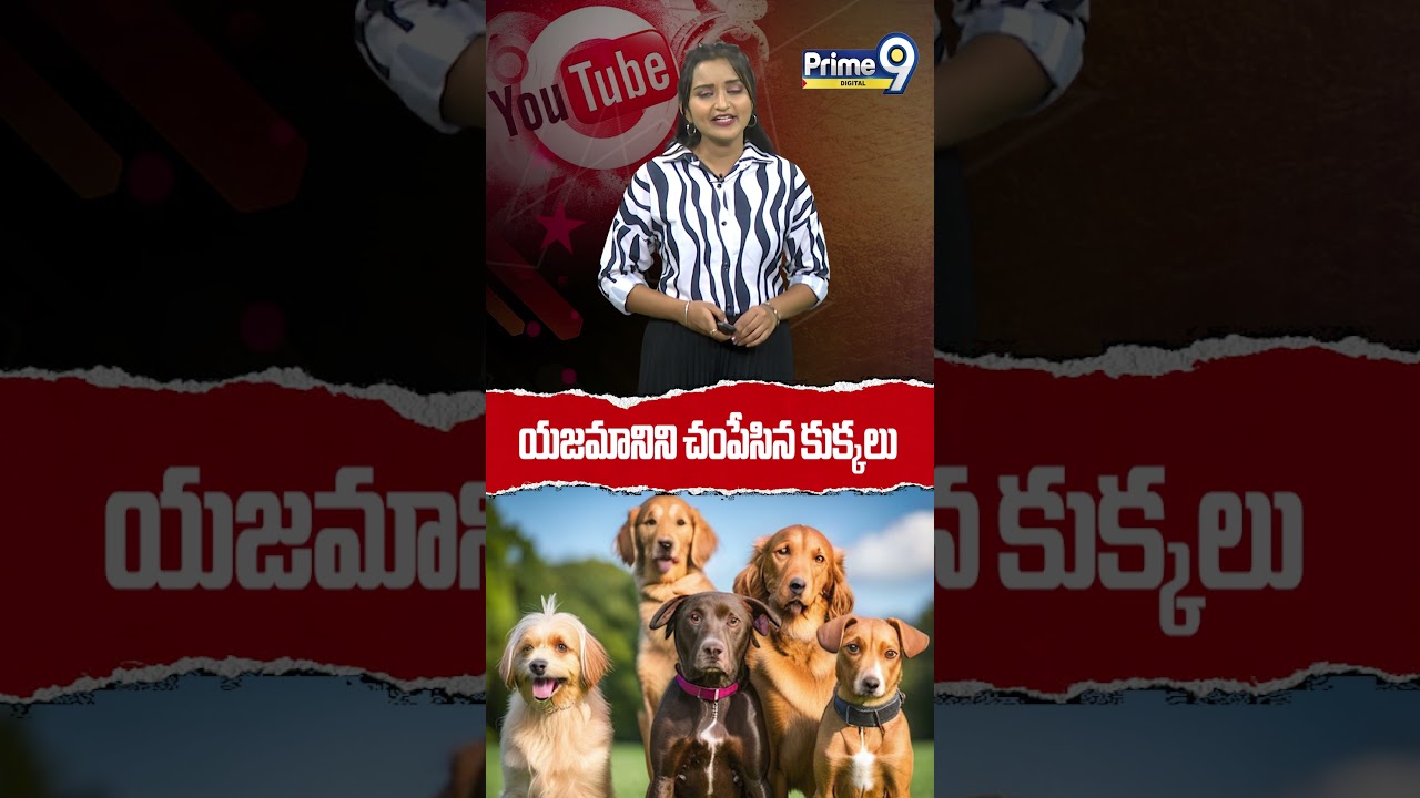 యజమానిని చంపేసిన కుక్కలు