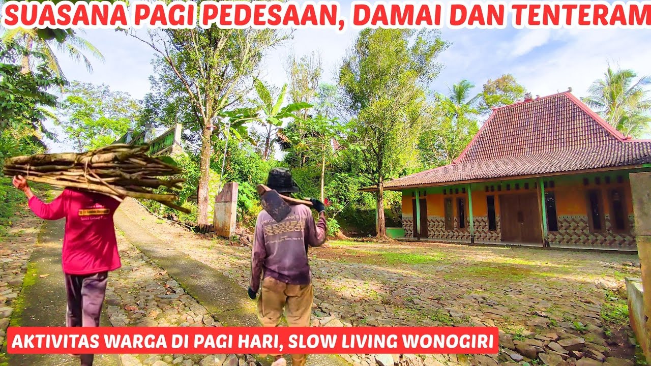 Damai dan Tenteram ‼️ Indahnya suasana pedesaan pagi hari di Wonogiri
