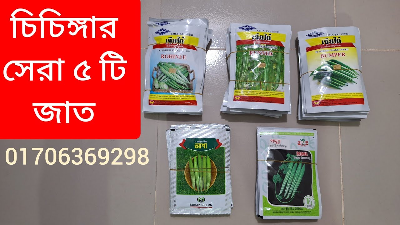 চিচিঙ্গার সেরা ৫ টি জাত। বীজ পেতে: 01706369298