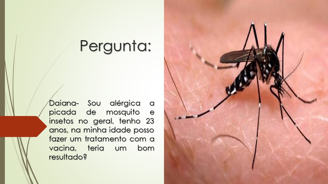 Sou al&eacute;rgica a picada de insetos | Tenho 23 anos, tratamento com a vacina, teria um bom resultado?