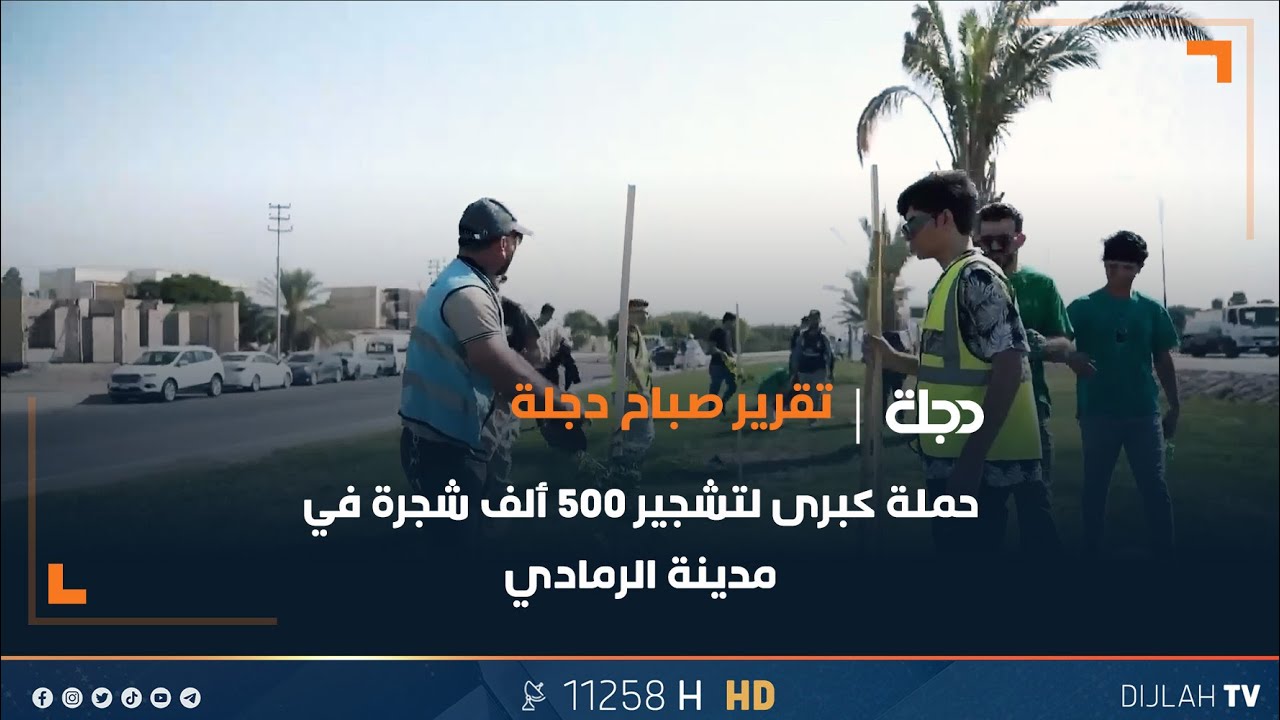 حملة كبرى لتشجير 500 ألف شجرة في مدينة الرمادي