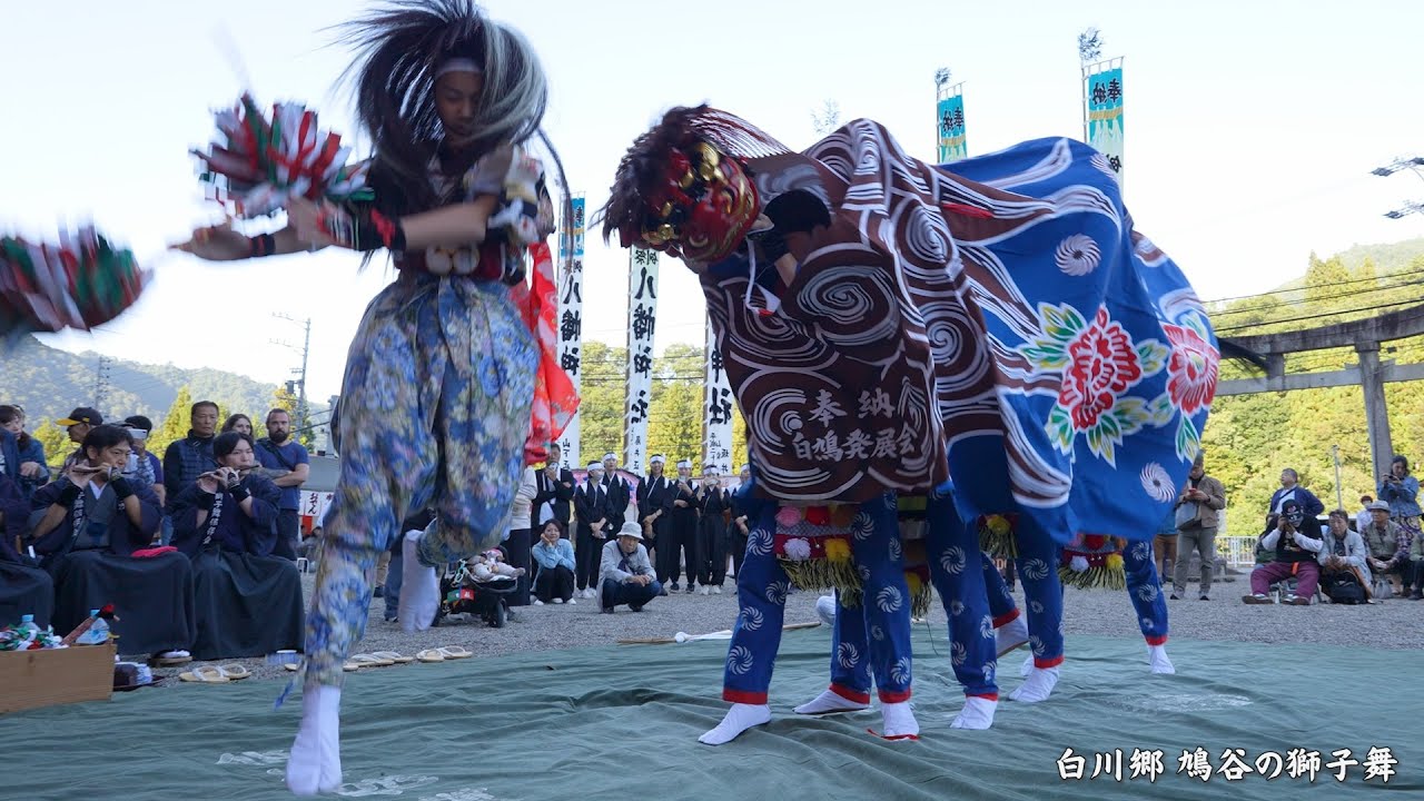 白川郷どぶろく祭り 鳩谷の獅子舞 2025 / 岐阜県白川村