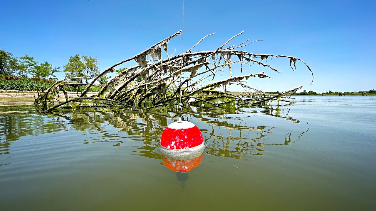 Dunkin' BIG BOBBERS Around Brush For POND MONSTERS!!! (100+ Pounds Of Fish)