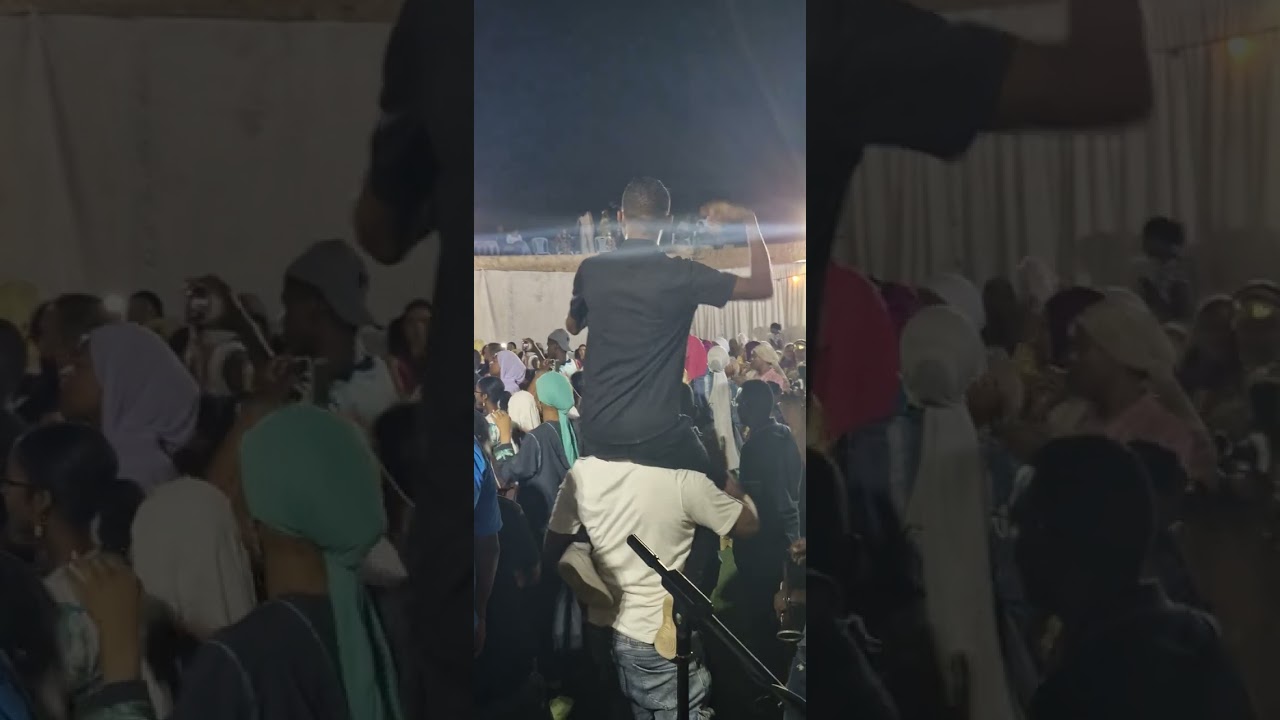 ali zitouni علي الزيتوني سهرية نار 🔥