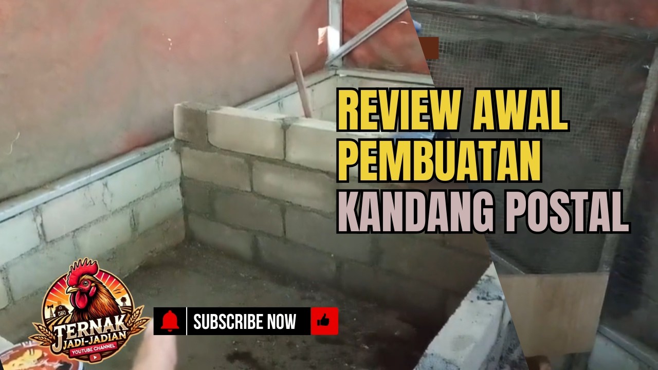 #54 VLOG REVIEW AWAL KANDANG POSTAL
