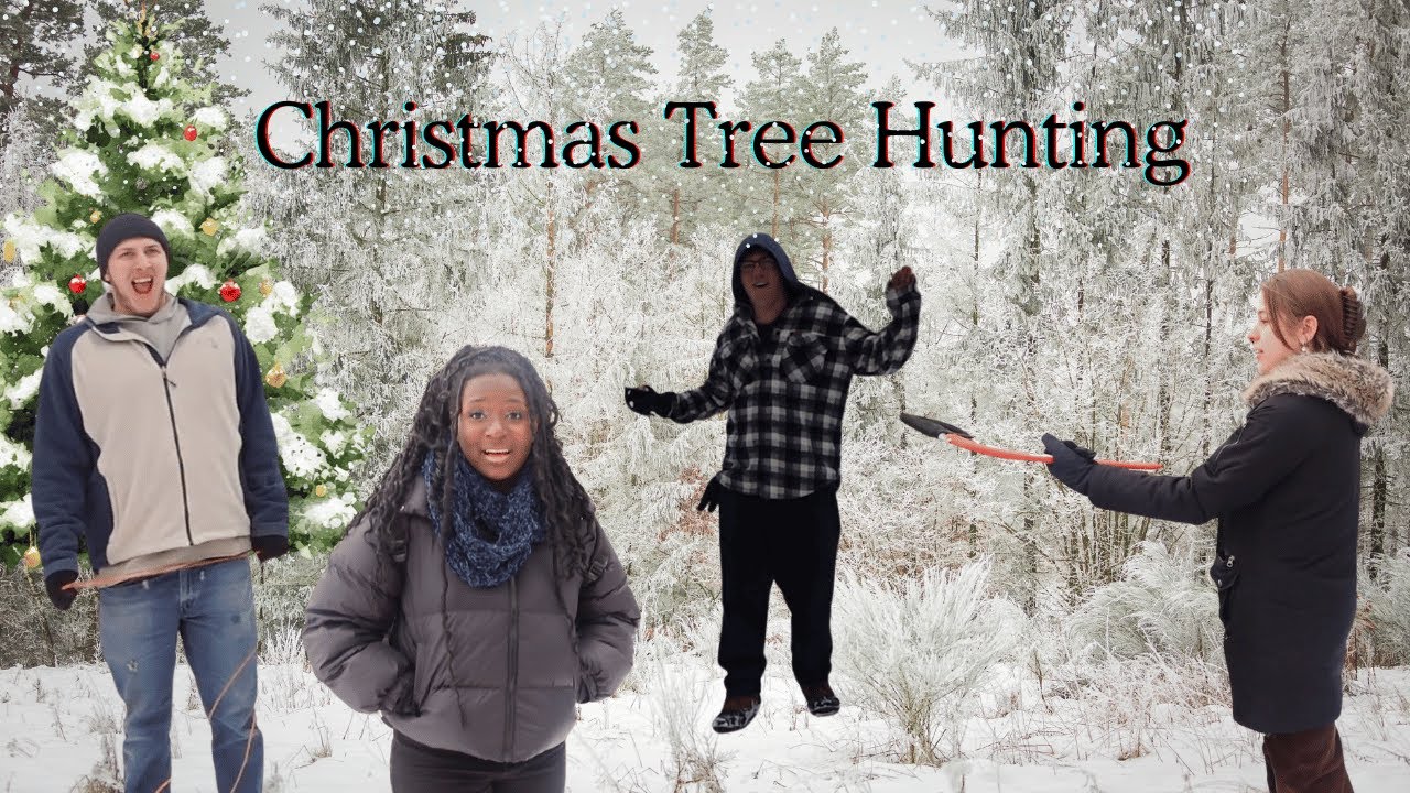 Cutting Down Our Christmas Tree