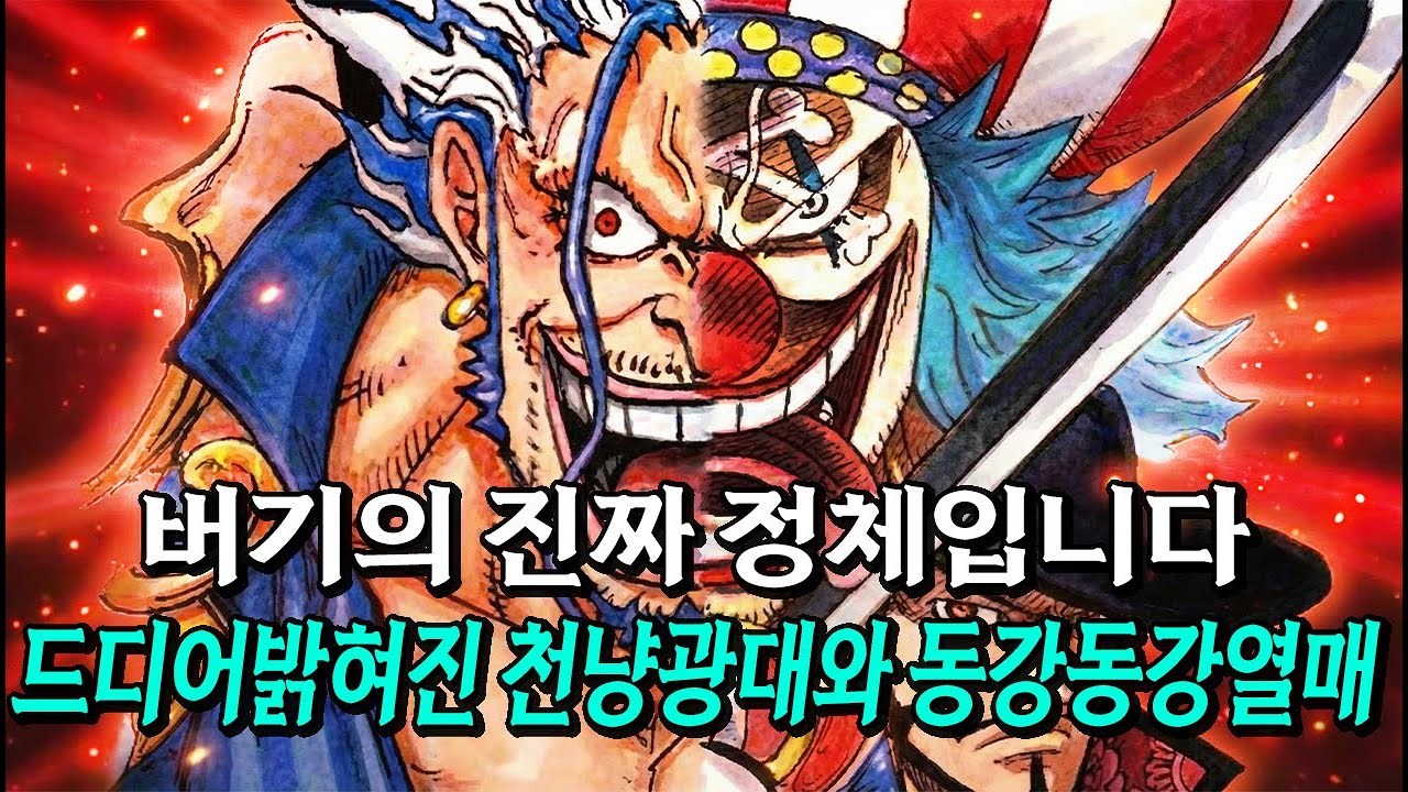 25년만에 드디어 밝혀진 버기의 진짜 정체 D의 왕가의 동강동강열매