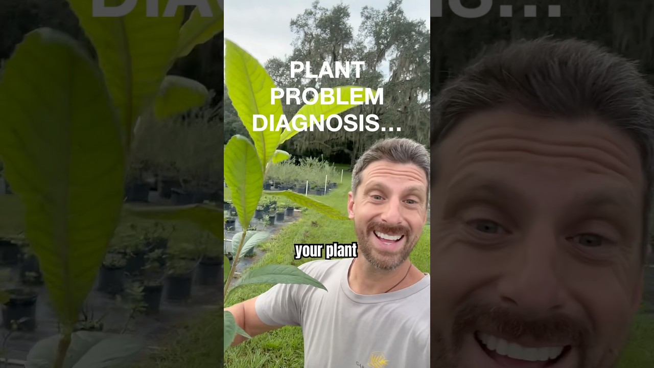 What Your Plant Is Telling You 🌱 (Fix These 5 Common Problems!)