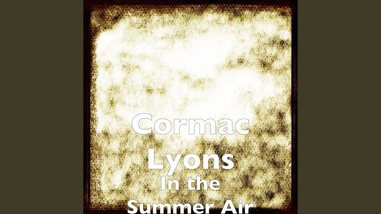 In the Summer Air