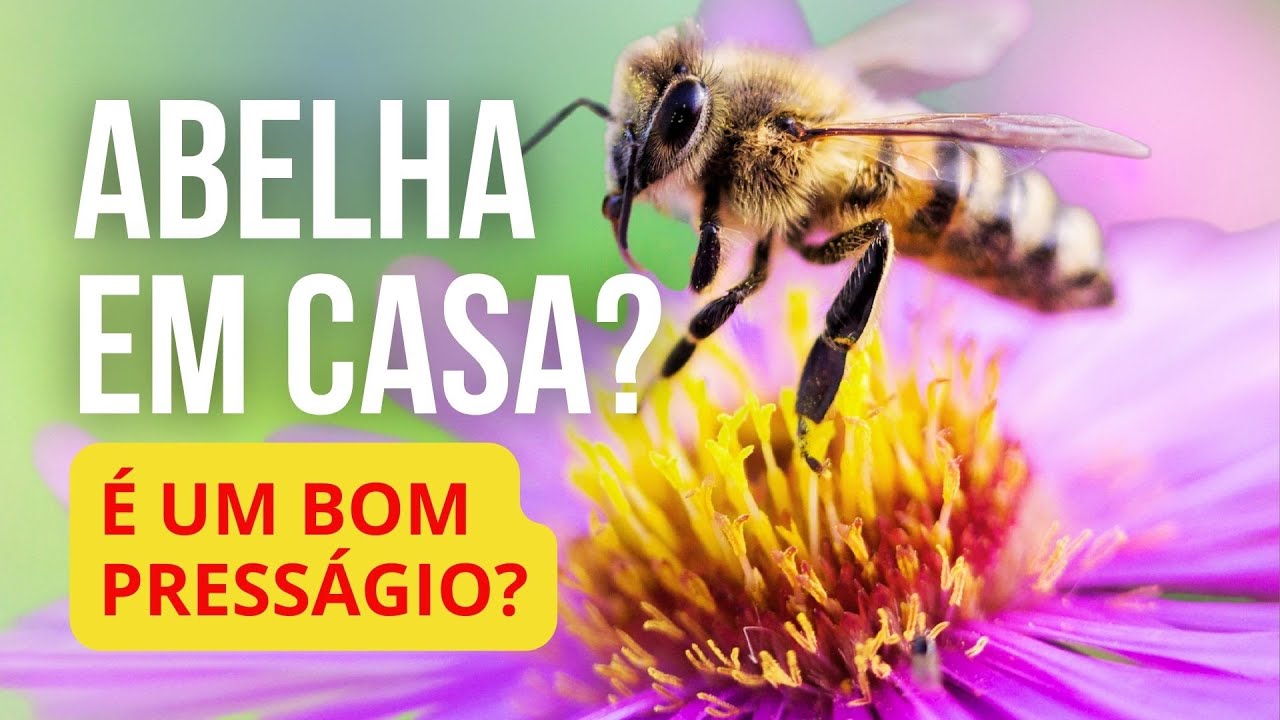 Abelhas em Casa SIGNIFICADO ESPIRITUAL | Mensagem para voc&ecirc;!