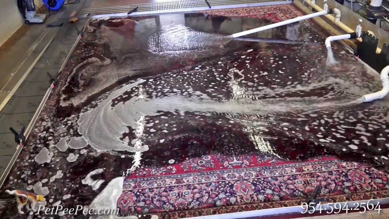 PetPeePee Company-The THROUGH the new system to clean fine Oriental rug