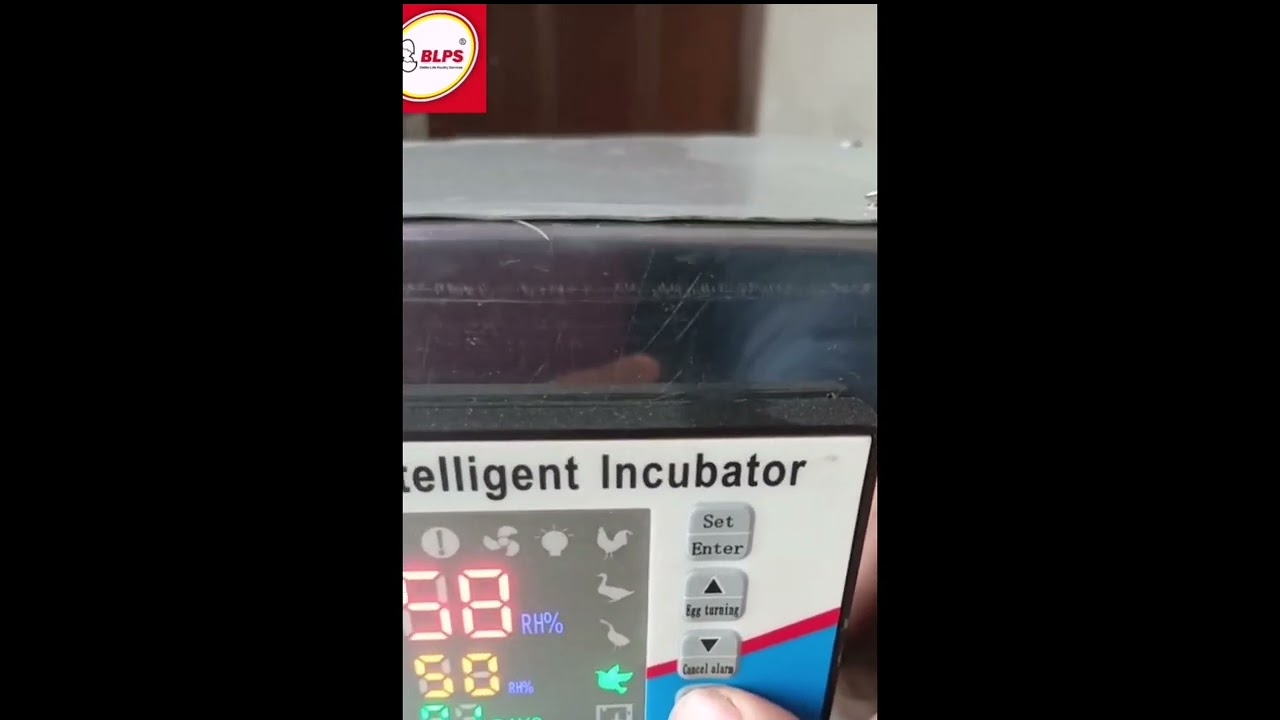 540 eggs fully automatic incubator | XM-18Temperature and Humidity Controller settings in urdu