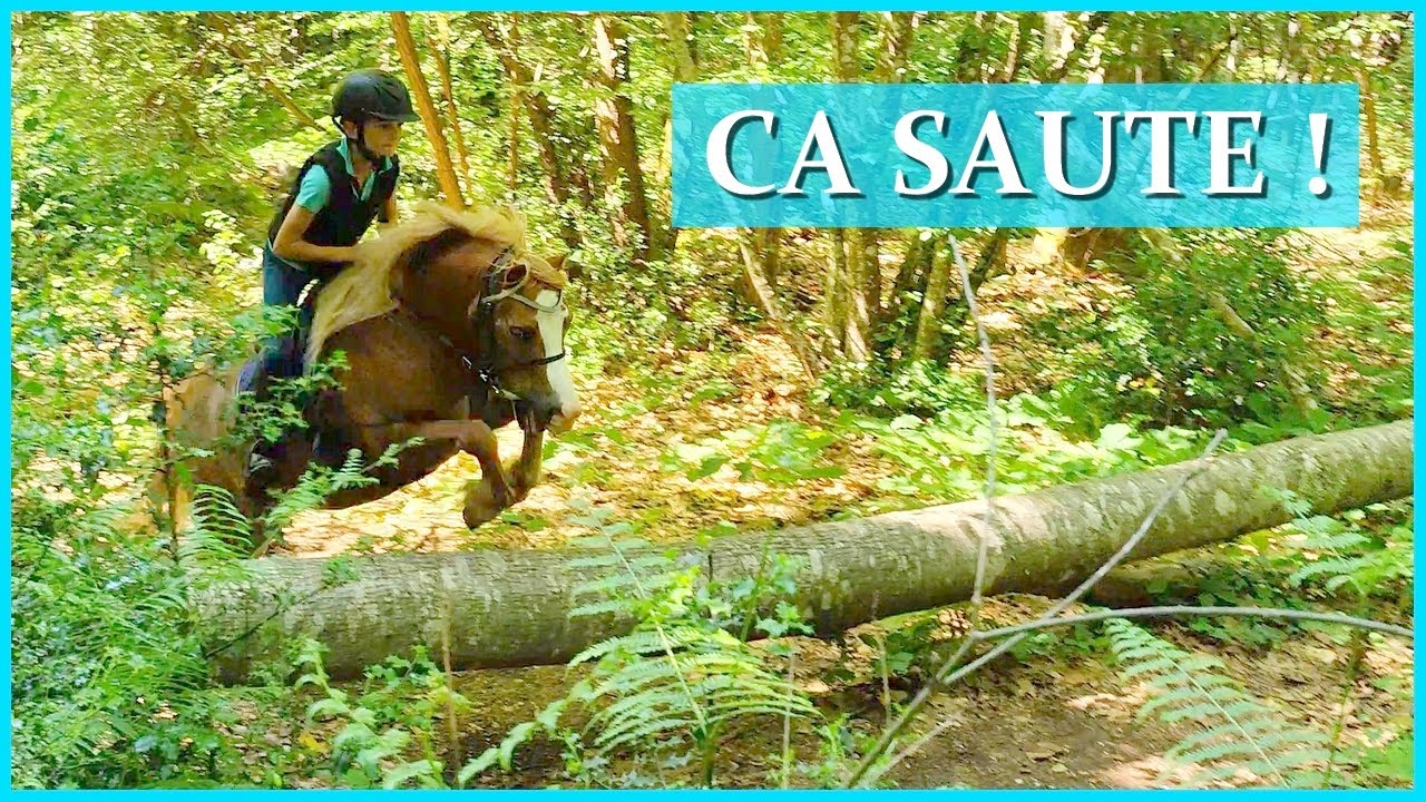 IL A EU ENVIE D'ESSAYER ! - Balade avec Paul Arthur et Ace