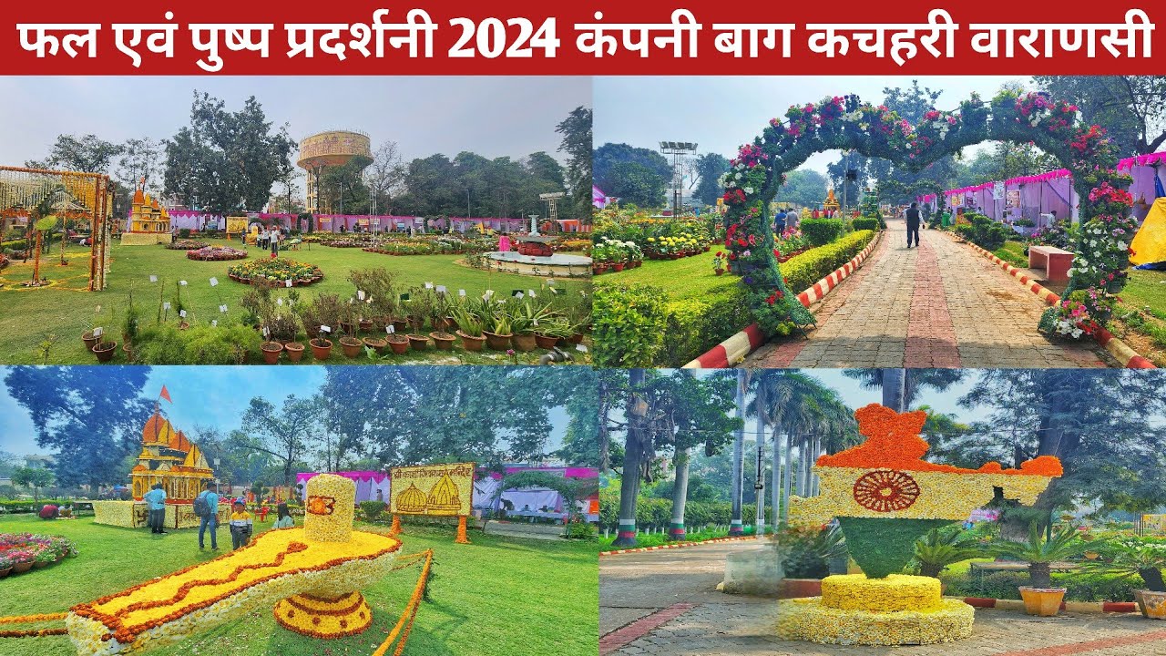 flowers and vegetables exhibition 2024 company bagh kachahari varanasi | varanasi vlog | flower show