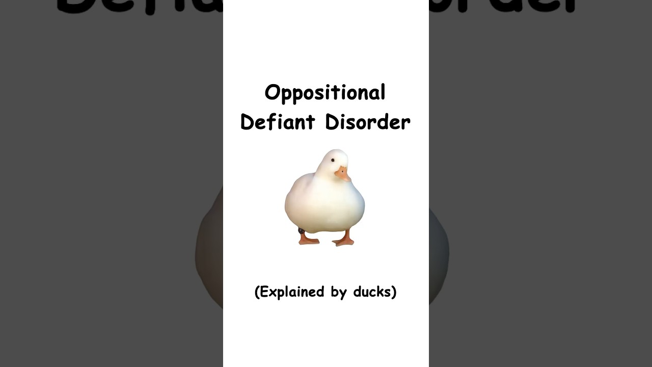 ODD (explained by ducks)