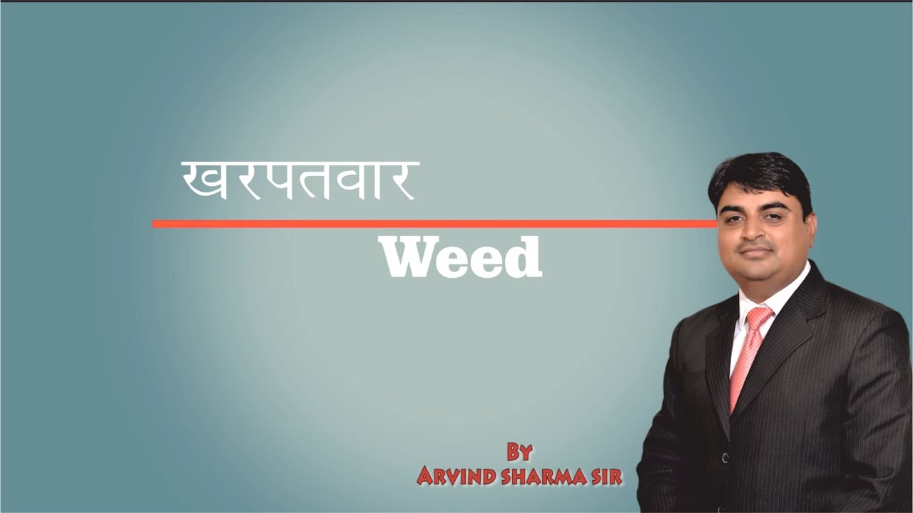 Weed i खरपतवार