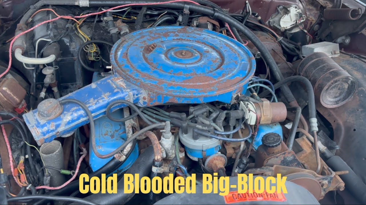 460 4 Barrel COLD START…’77 Marquis is Unhappy