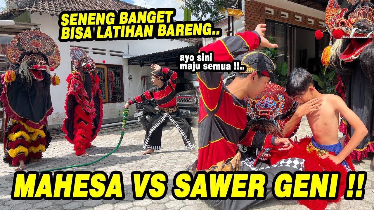 SAWER GENI VS MAHESA !! Latihan seru banget bareng paguyuban WPN