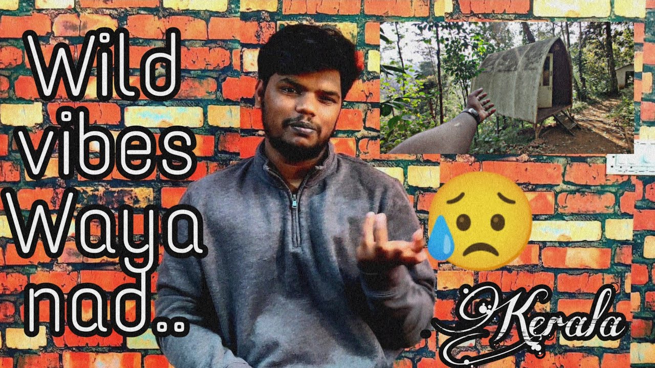 Wildvibes Wayanad....had a bad..xperience😑😑🙏...#wayanad #kerala ...#wildvibes