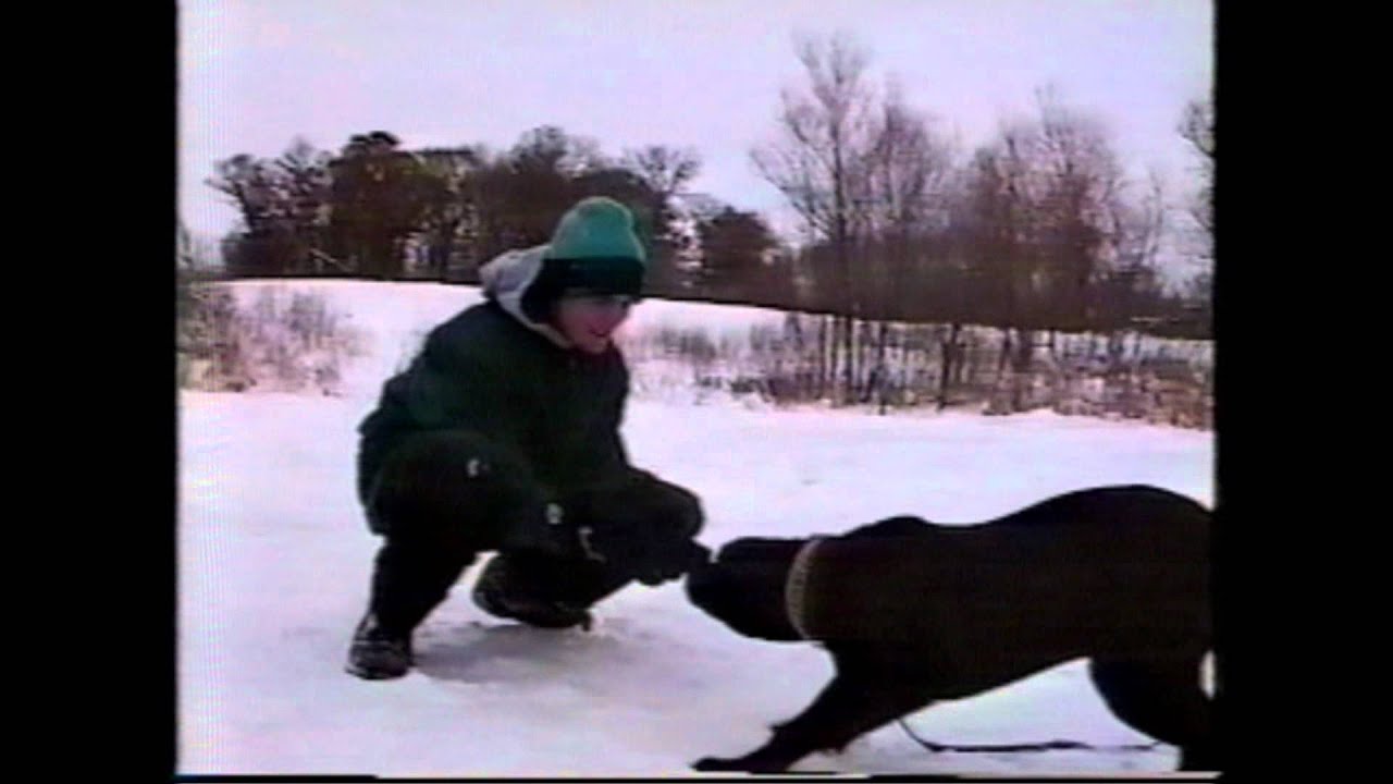 Forged in Flames Snowboard Video (1999)