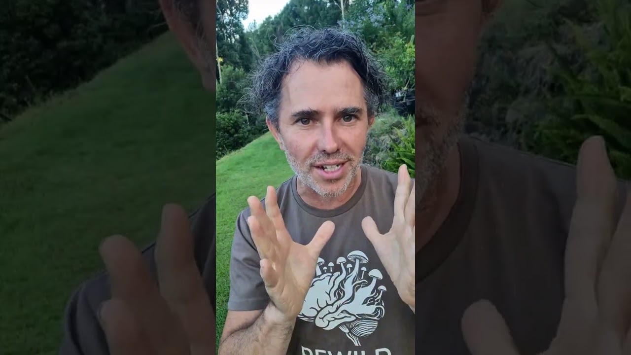 Demartini Said There Are 'Upsides To Child Murder' — The Network Responds