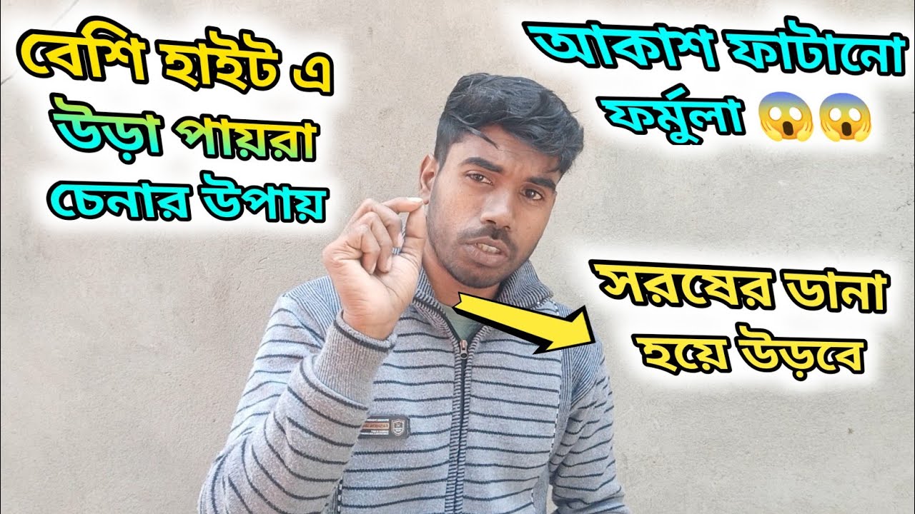 প্রফেশনালরা যেভাবে সুপার হাইট এ উড়া পায়রা বেছে নেয়। #viral #trending 