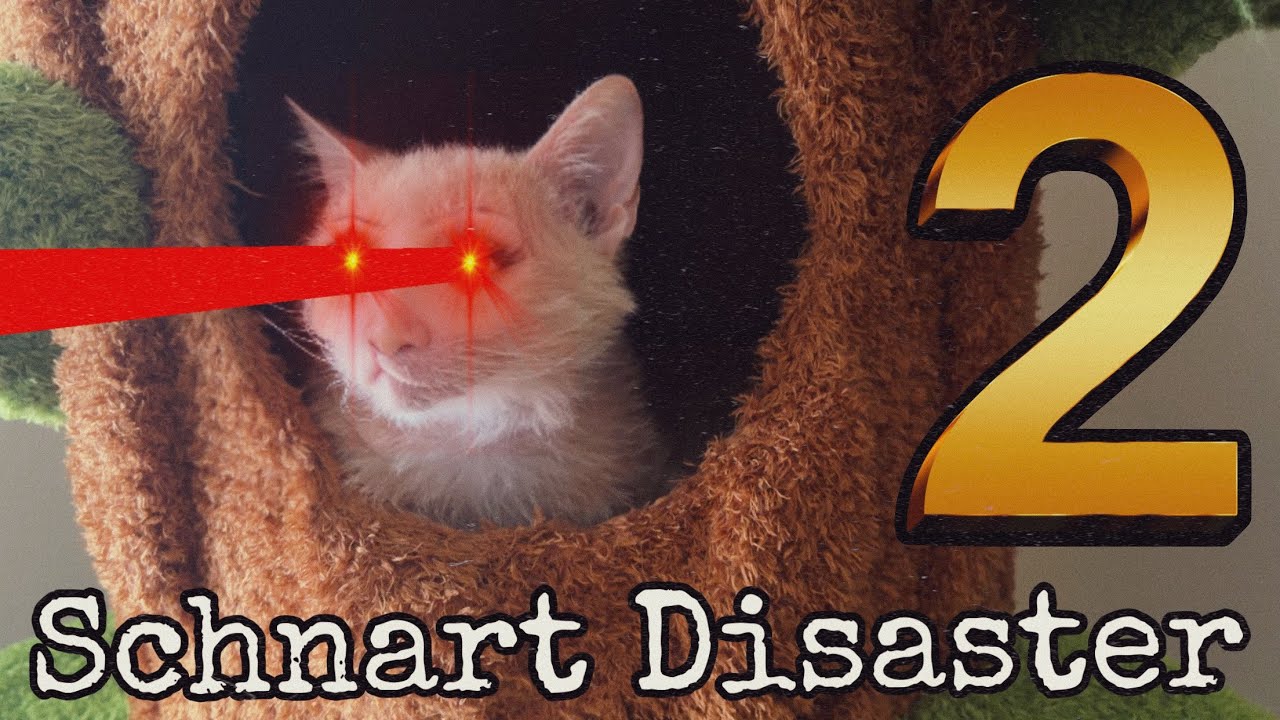 Schnart Disaster 2: An Eye for an Eye