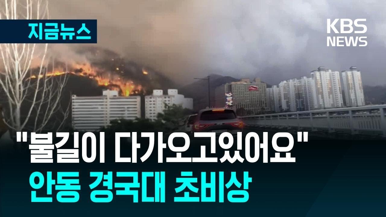 [지금뉴스] ‘불길에 휩싸인 안동’ 학교·병원 초비상…경국대엔 대피 명령 / KBS 2025.03.25.