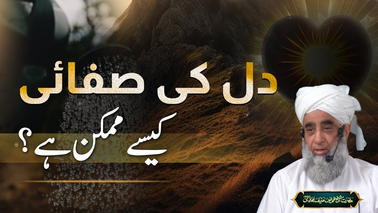 Dil Ki Safai Kaise Mumkin | How To Clean Your Heart Islam | Dil Ko Pak Karne Ka Tarika