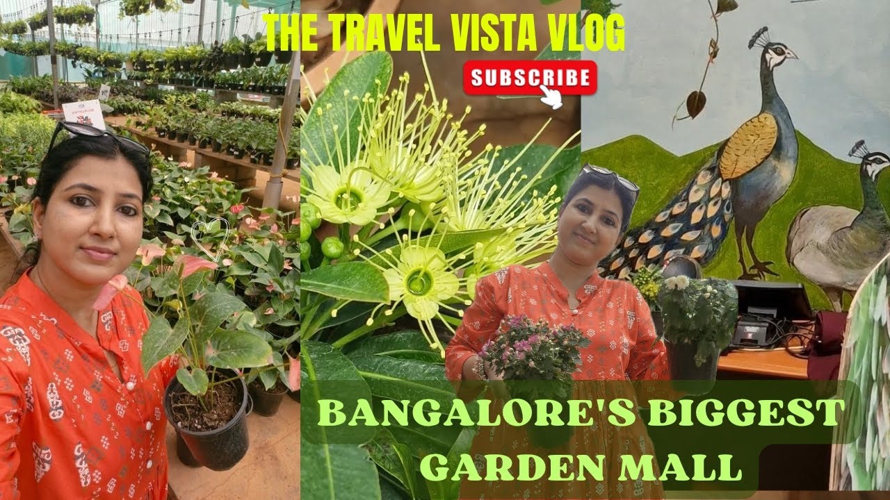 Biggest Plant Nursery in Bangalore | Bangalore's Garden Mall | Explore Bangalore | The Travel Vista