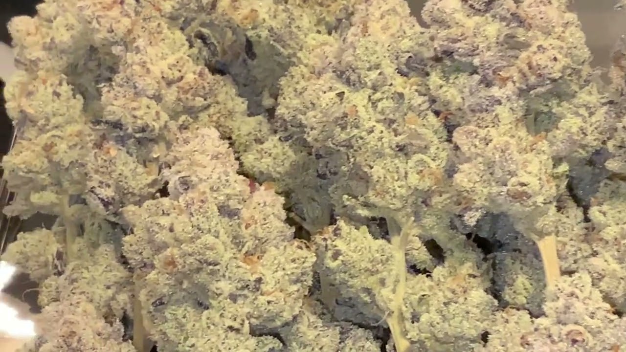 Cured Meds, Slurricane #7 S1 Juymied cut.