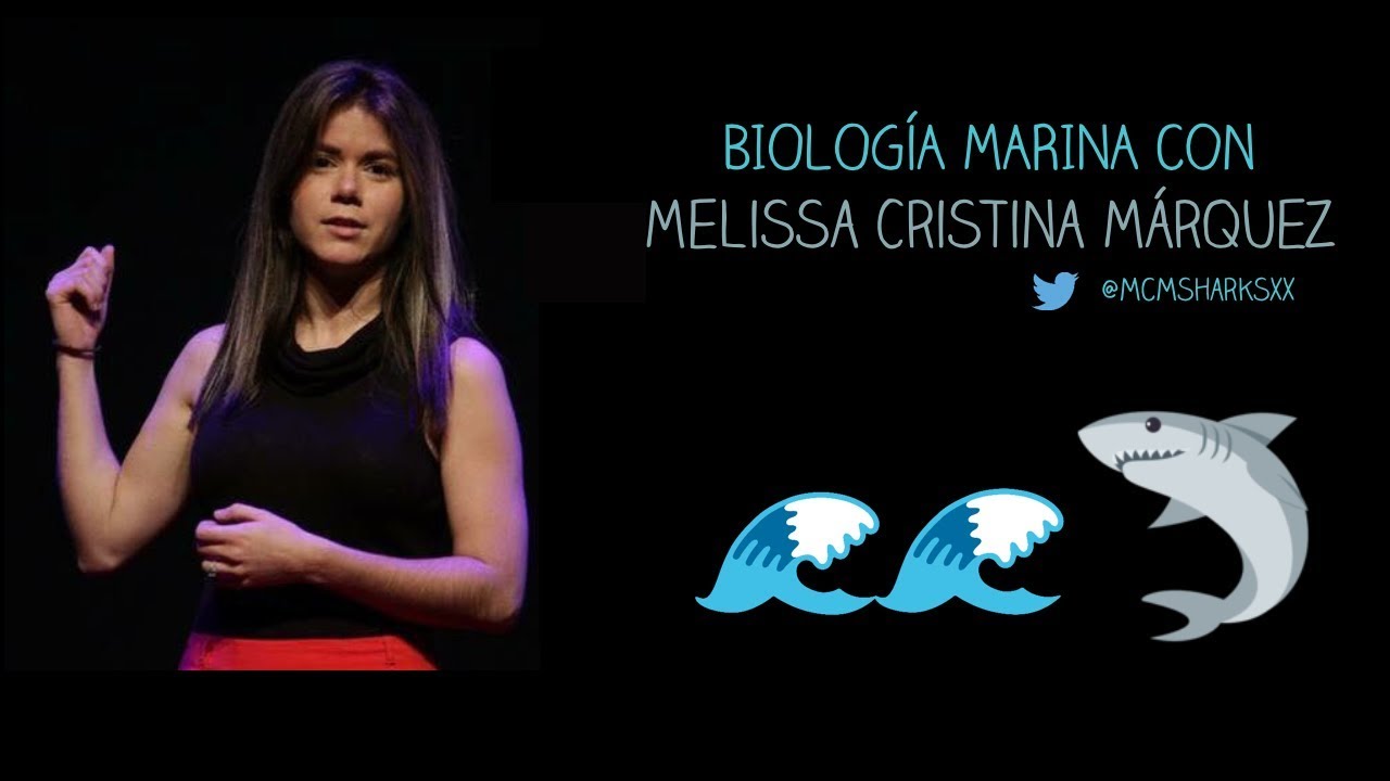 Biología marina EN DIRECTO con Melissa Cristina Márquez 🦈
