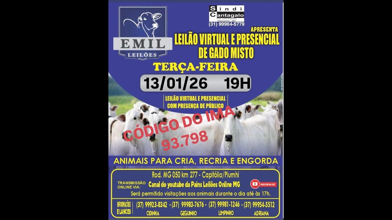 127&ordm; Leil&atilde;o Virtual - EMIL Leil&otilde;es - Capit&oacute;lio/Piumhi - MG