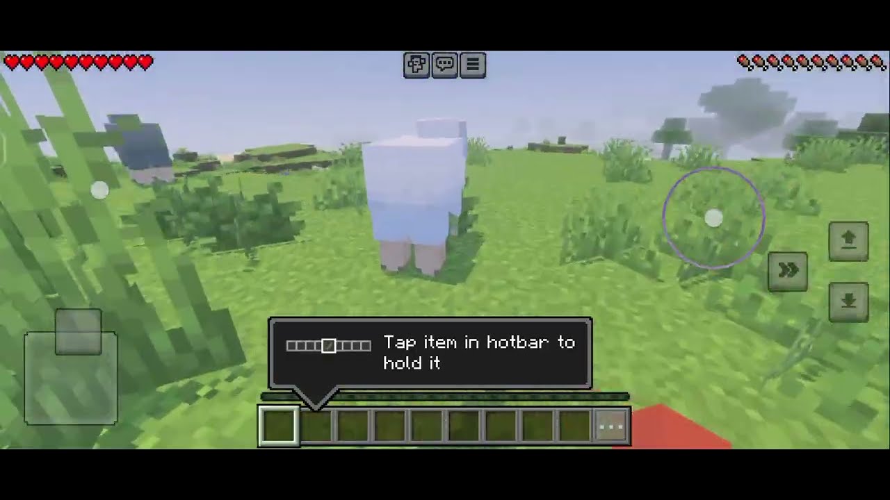 Playing Minecraft for First time