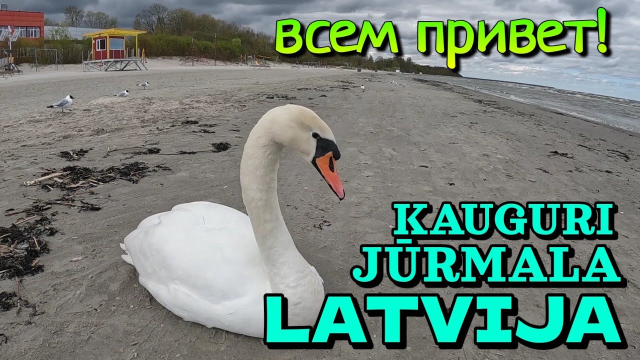 ЛАТВИЯ, ЮРМАЛА (р-он КАУГУРИ) - 05.05.2023 - РИЖСКОЕ ВЗМОРЬЕ / ПОКАТАЕМСЯ ПО РАЙОНУ!