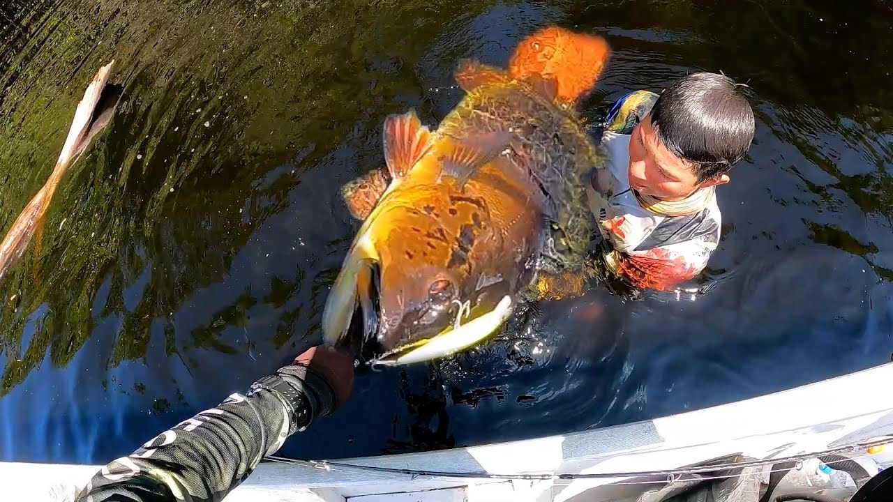 2022年11月のアマゾン・サンタイザベル釣行総集編。アマゾン住人の生活を疑似体験。ハンモック泊で世界記録のピーコックバスを狙う11日間ネグロ川釣り旅