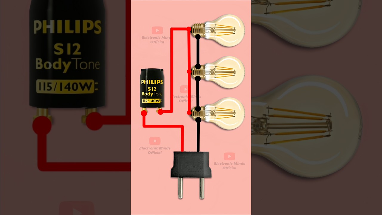 How to Make 220V Blinking Light Circuit Using Tube Light Starter | DIY Flasher Circuit