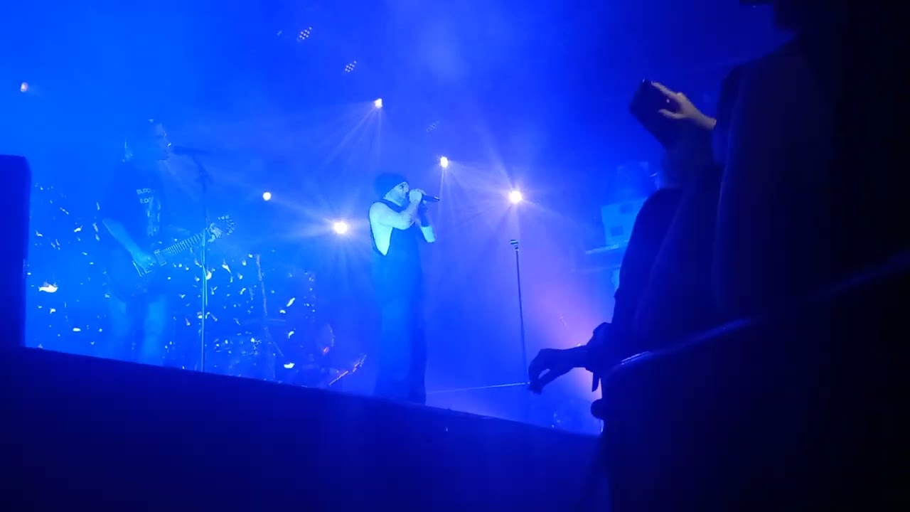 Konzertvideos The Rasmus