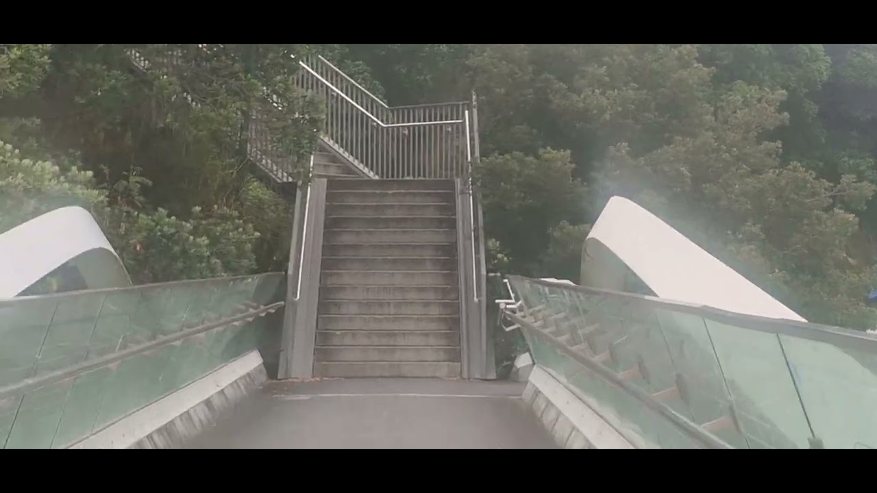 Walk  around  st Stephen Avenue Parnell auckland