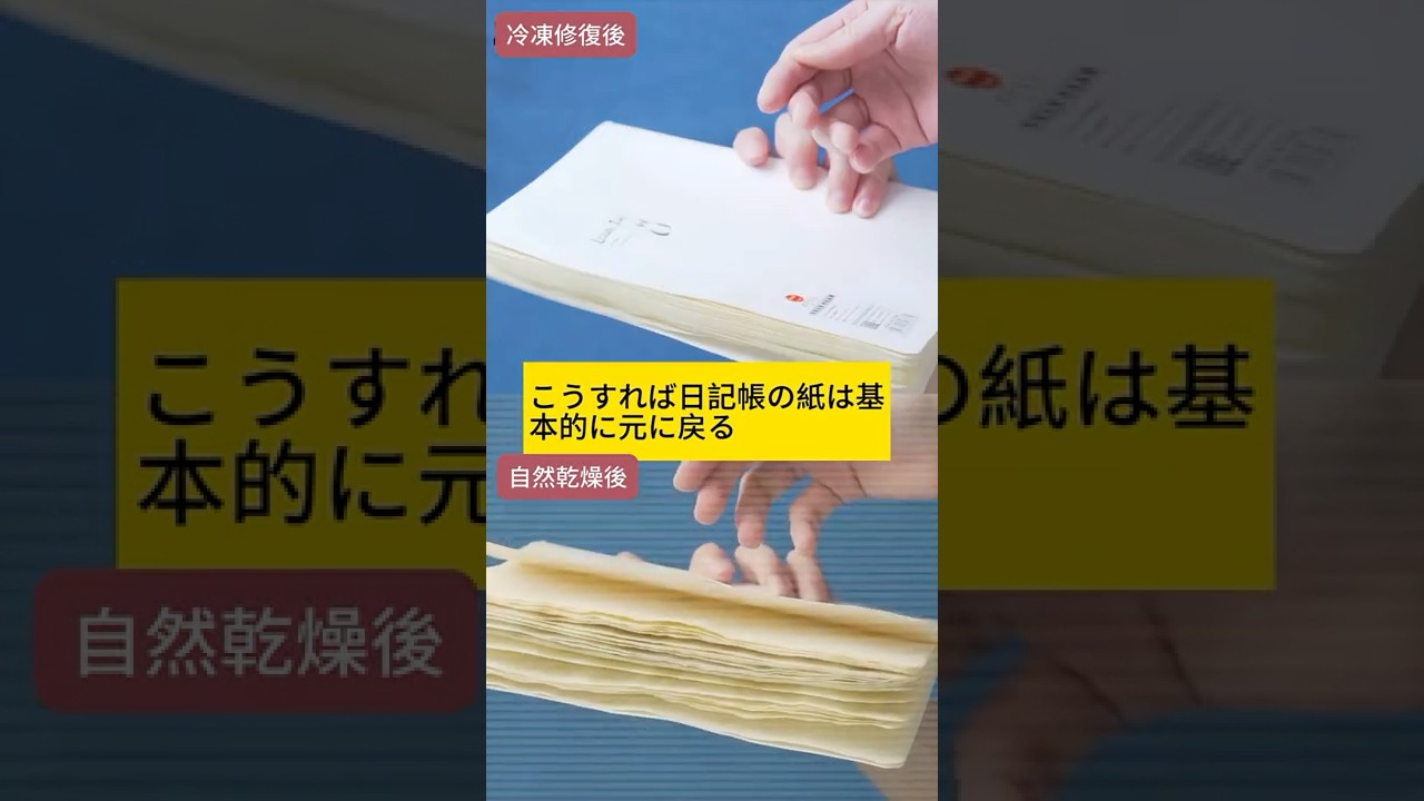 💧📄 やりがちだけど危険❗️濡れた本を救う裏ワザ❗️