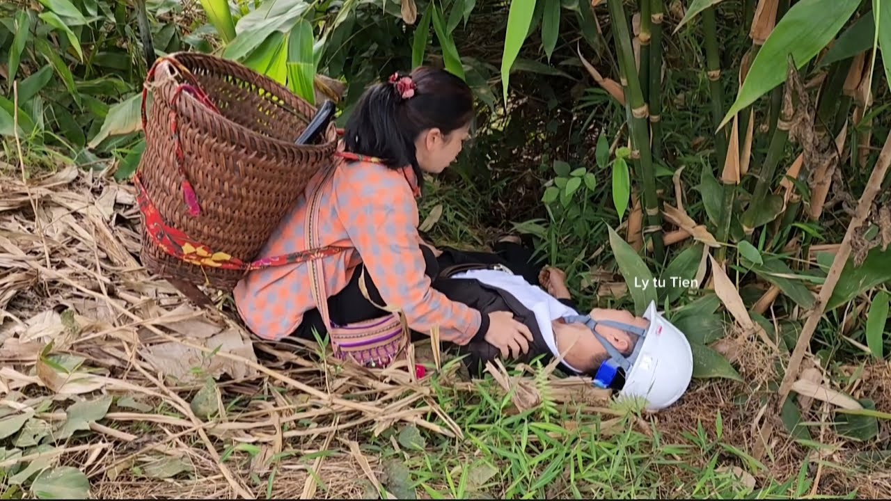 The girl discovered a boy lying unconscious under a tree. And this is what happened.