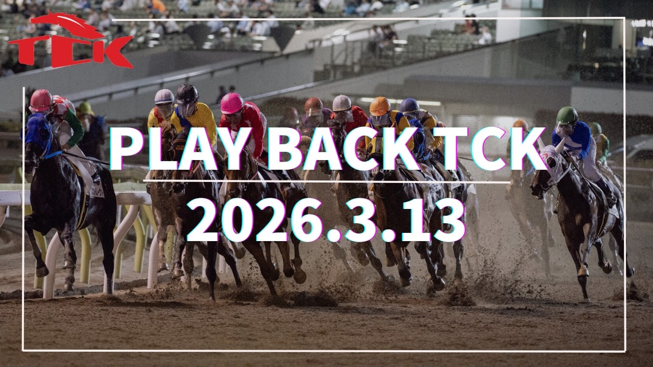 Playback TCK（2026/03/13）