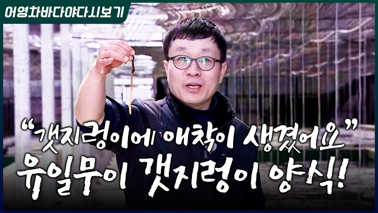예전엔 금융학 강사, 이제는 갯지렁이 박사? #갯지렁이 #갯벌 #뻘