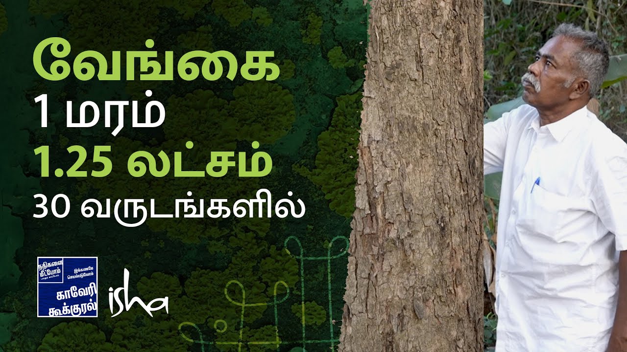 லட்சங்களை கொடுத்த வேங்கை- மருதவாஞ்சேரி மாரிமுத்து | 10 acres and 3000 timber trees
