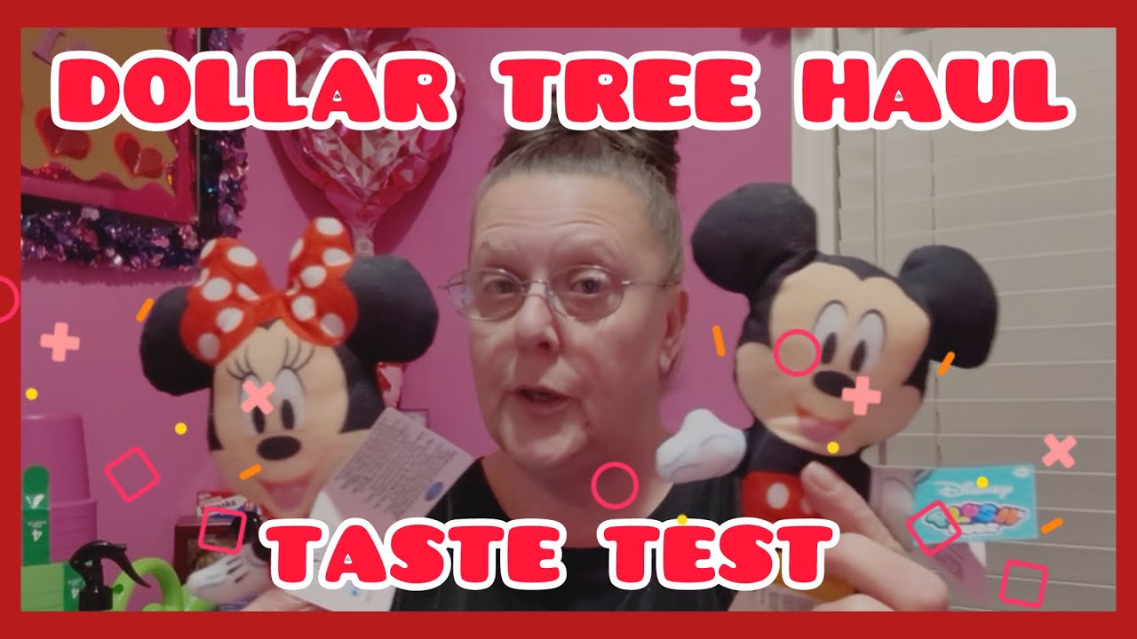 DOLLAR TREE🌲HAUL | LETS CHECK IT OUT TOGETHER 🫶 2.19.26