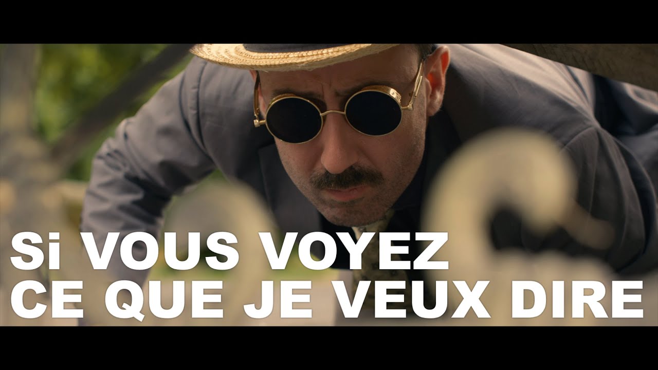 SI VOUS VOYEZ CE QUE JE VEUX DIRE