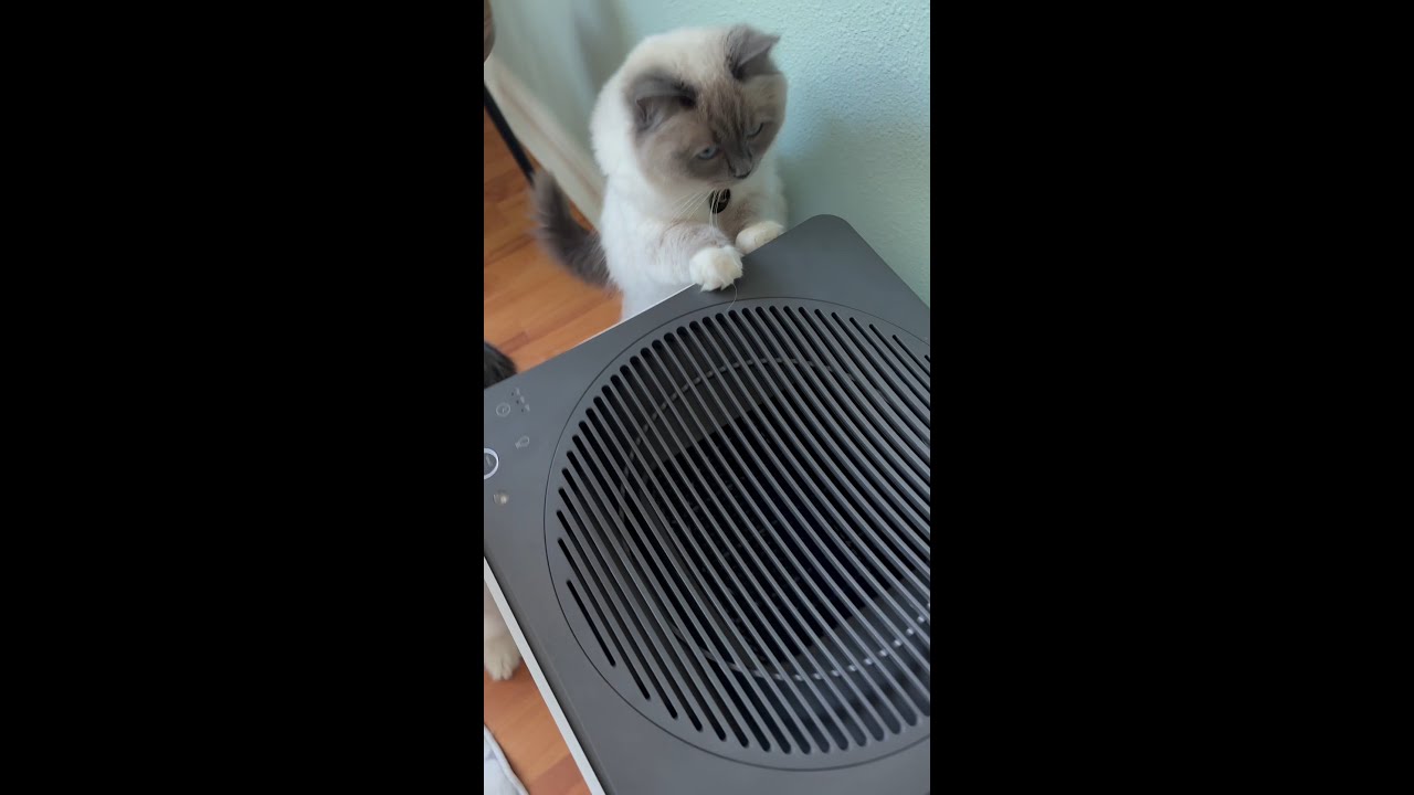 Coway Airmega air purifiers help with pet odor, dander, fur, and more!